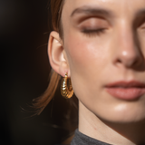 CAMI Hoops
