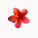 HAWAII Hårklemme - Rød