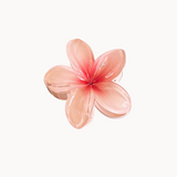 HAWAII Hårklemme - Coral